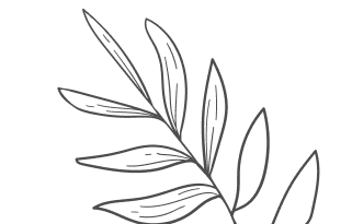 lisc 1