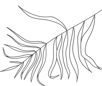 lisc 2